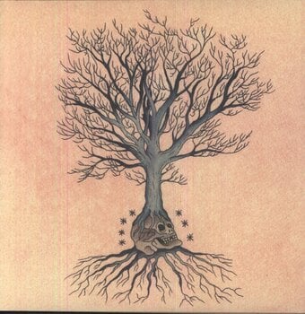 LP deska David Daniell & Douglas McCombs - Versions (2 LP) - 1