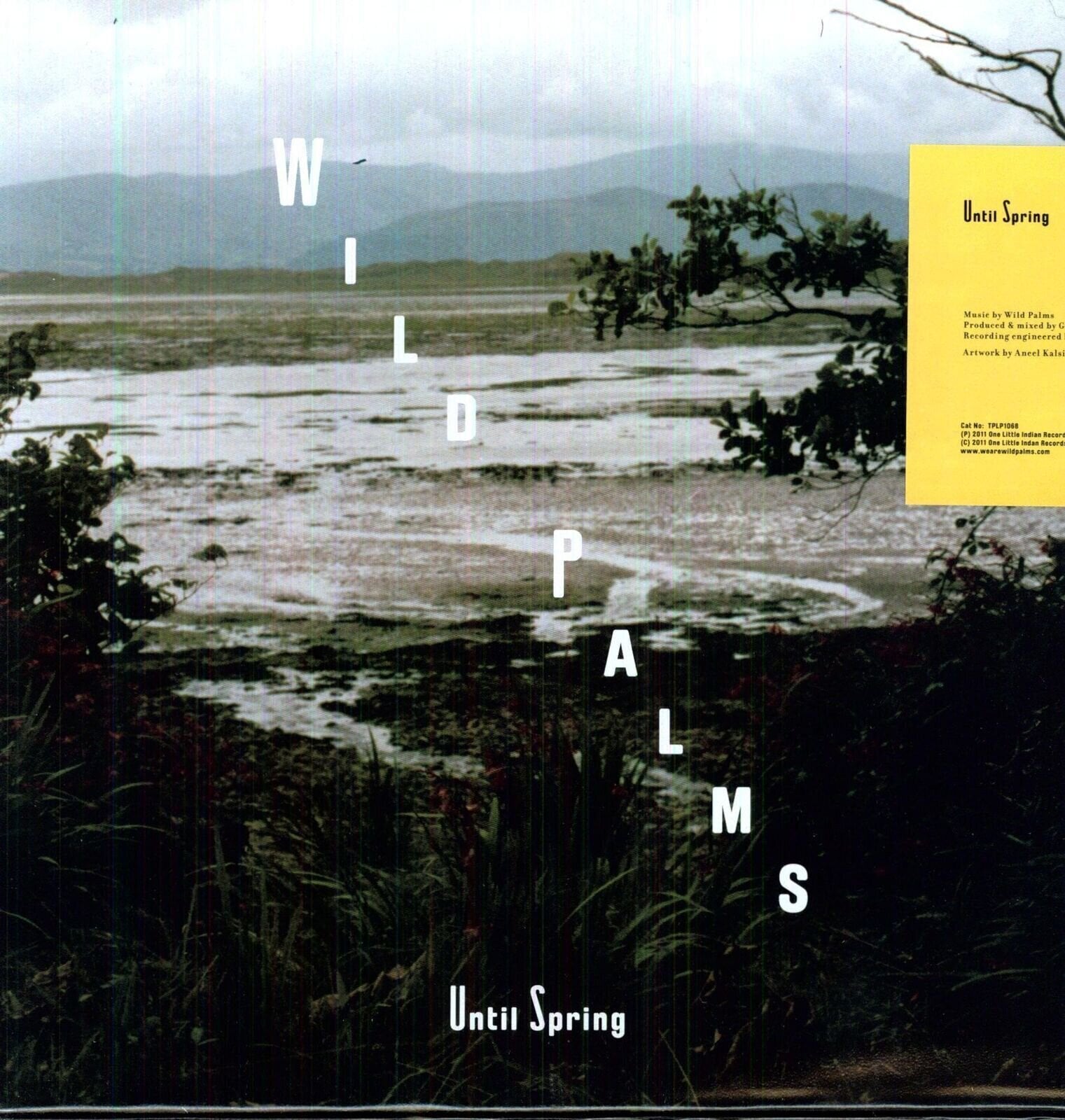Vinyl Record Wild Palms - Until Spring (LP)