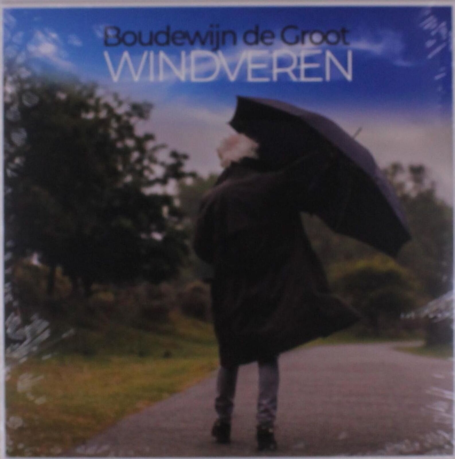 LP deska Boudewijn de Groot - Windveren (High Quality) (LP)
