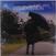 LP deska Boudewijn de Groot - Windveren (High Quality) (LP)