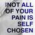 Disque vinyle Suir - Not All Of Your Pain Is Self Chosen (Limited Edition) (LP)