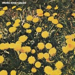 Schallplatte Unnatural Helpers - Land Grab (LP)