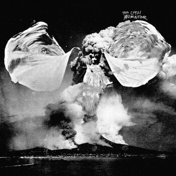Vinylskiva The Luyas - Animator (2 LP) - 1