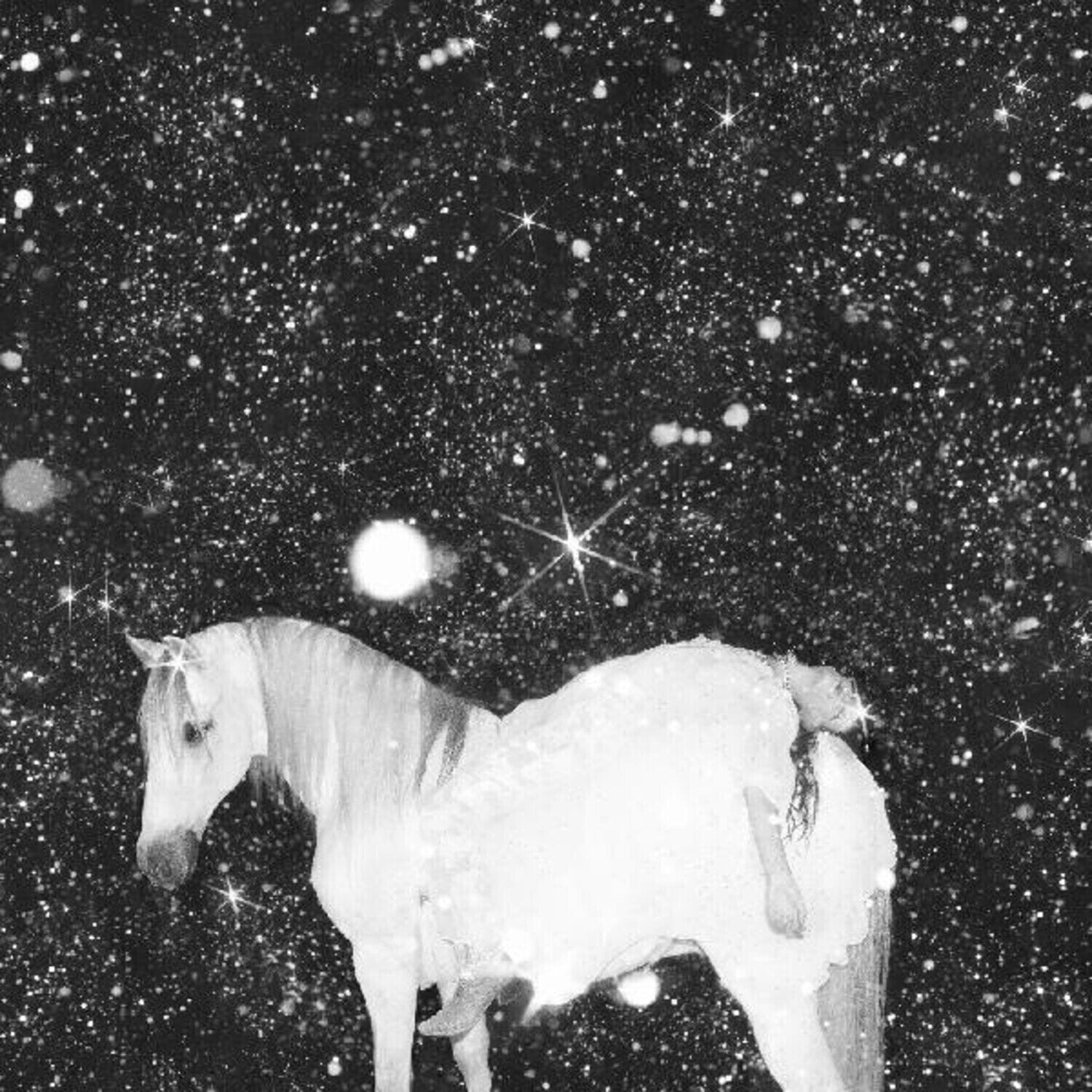 LP ploča The Black Lips - Apocalypse Love (Limited Edition) (Violet Transparent Coloured) (LP)