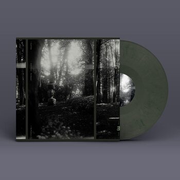 Vinyl Record Eyolf Dale - The Wayfarers (Limited Edition) (LP) - 1