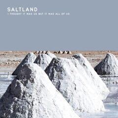 LP ploča Saltland - I Thought It Was Us But It Was All Of Us (LP)