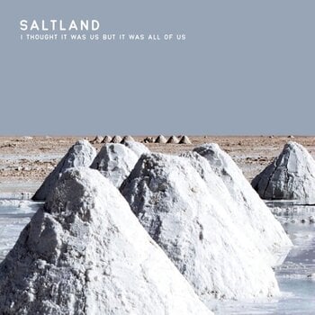 Vinyylilevy Saltland - I Thought It Was Us But It Was All Of Us (LP) - 1