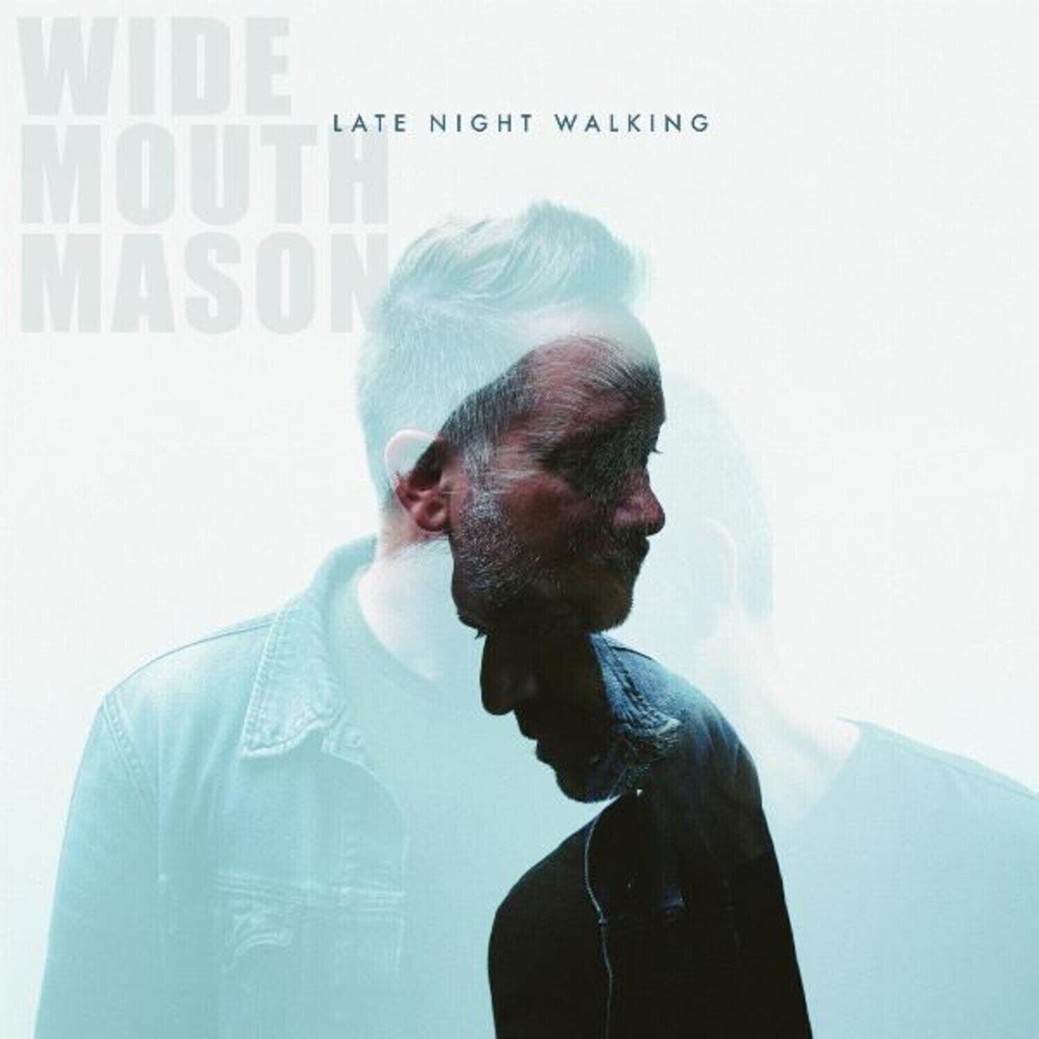 LP ploča Wide Mouth Mason - Late Night Walking (Limited Edition) (LP)