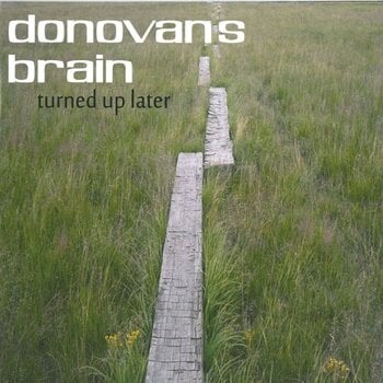 Vinyylilevy Donovan's Brain - Turned Up Later (2 LP) - 1