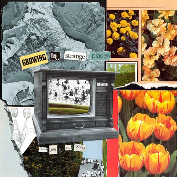 LP deska Thank You, I'm Sorry - Growing in Strange Places (Limited Edition) (Orange Crush Coloured) (LP) - 1