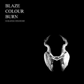 Disco in vinile Jan St. Werner - Blaze Colour Burn (LP) - 1