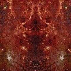 Disque vinyle Ken Camden - Space Mirror (LP)