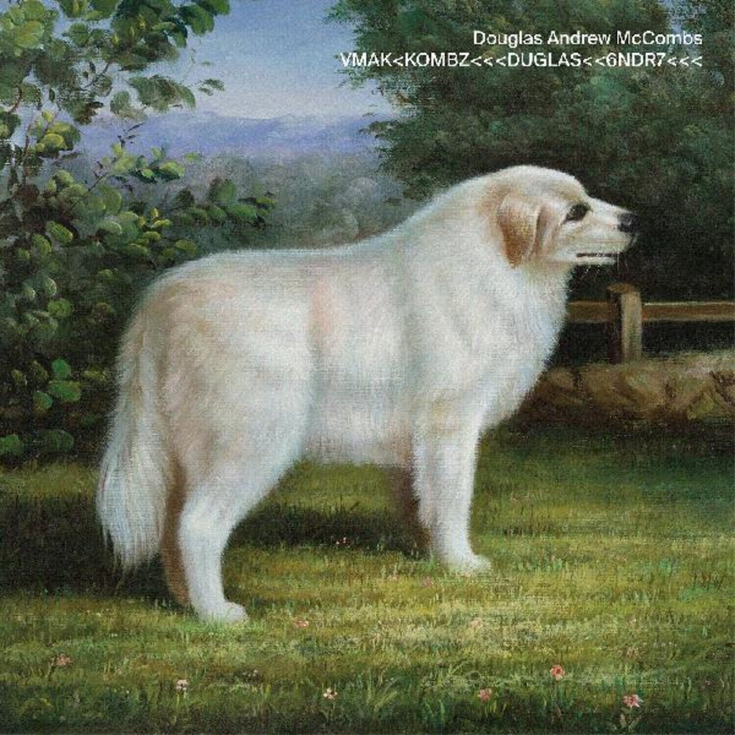 LP ploča Douglas McCombs - VMAK<KOMBZ<<<DUGLAS<<6NDR7<<< (Limited Edition) (LP)