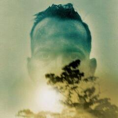 Disco de vinil Duquette Johnston - Rabbit Runs A Destiny (Limited Edition) (Clear Coloured) (LP)