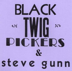 Disque vinyle Black Twig Pickers & Steve Gunn - Lonesome Valley (Limited Edition) (7")