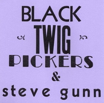 Disque vinyle Black Twig Pickers & Steve Gunn - Lonesome Valley (Limited Edition) (7") - 1