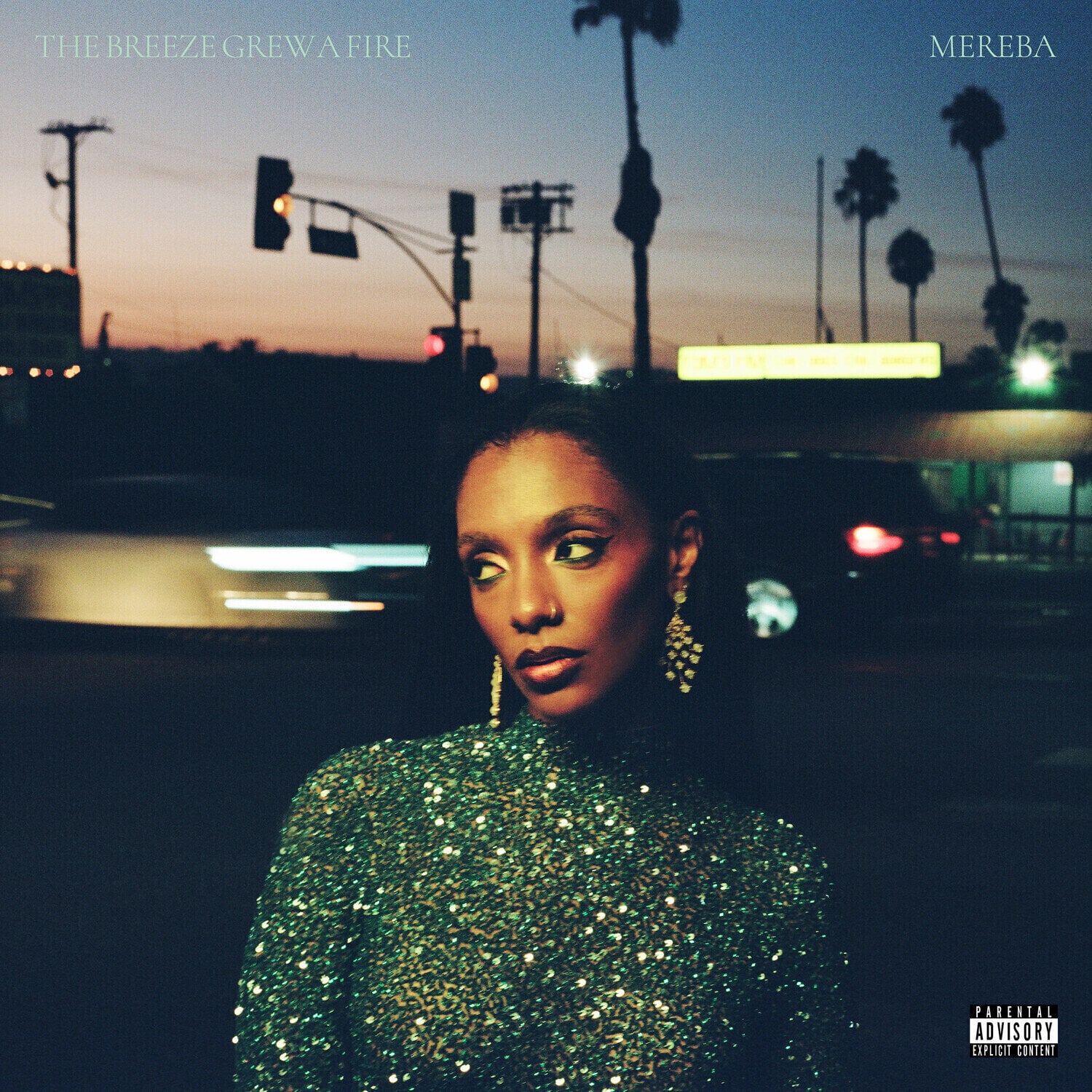 LP ploča Mereba - The Breeze Grew A Fire (LP)