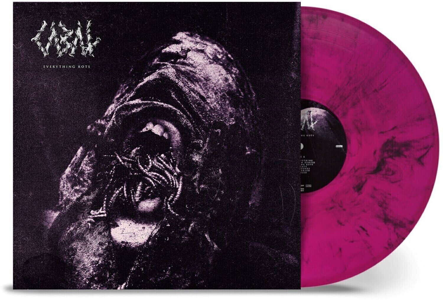 LP deska Cabal - Everything Rots (Limited Edition) (Violet/Black Coloured) (LP)