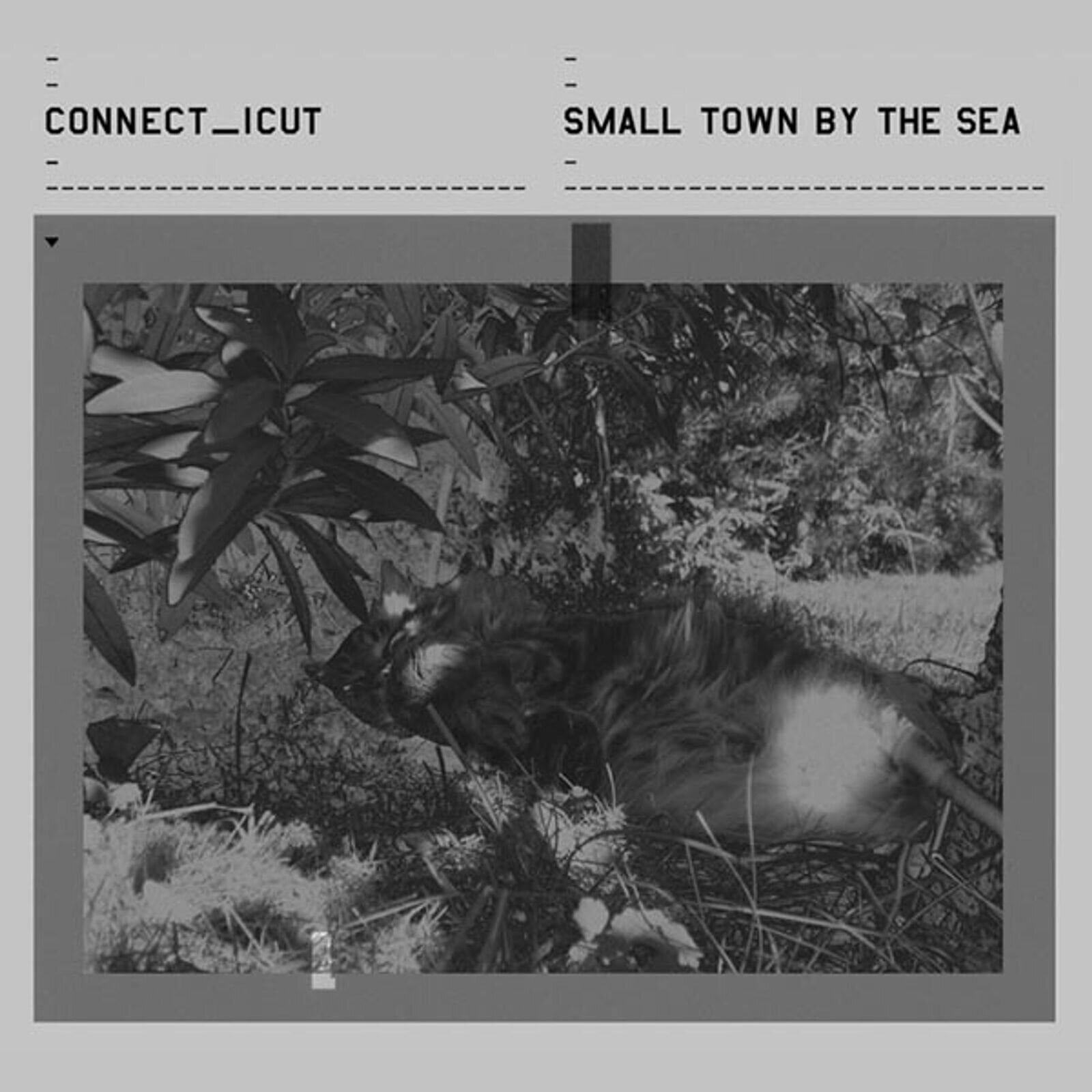 Vinyl Record Connect_icut - Small Town By The Sea (2 LP)
