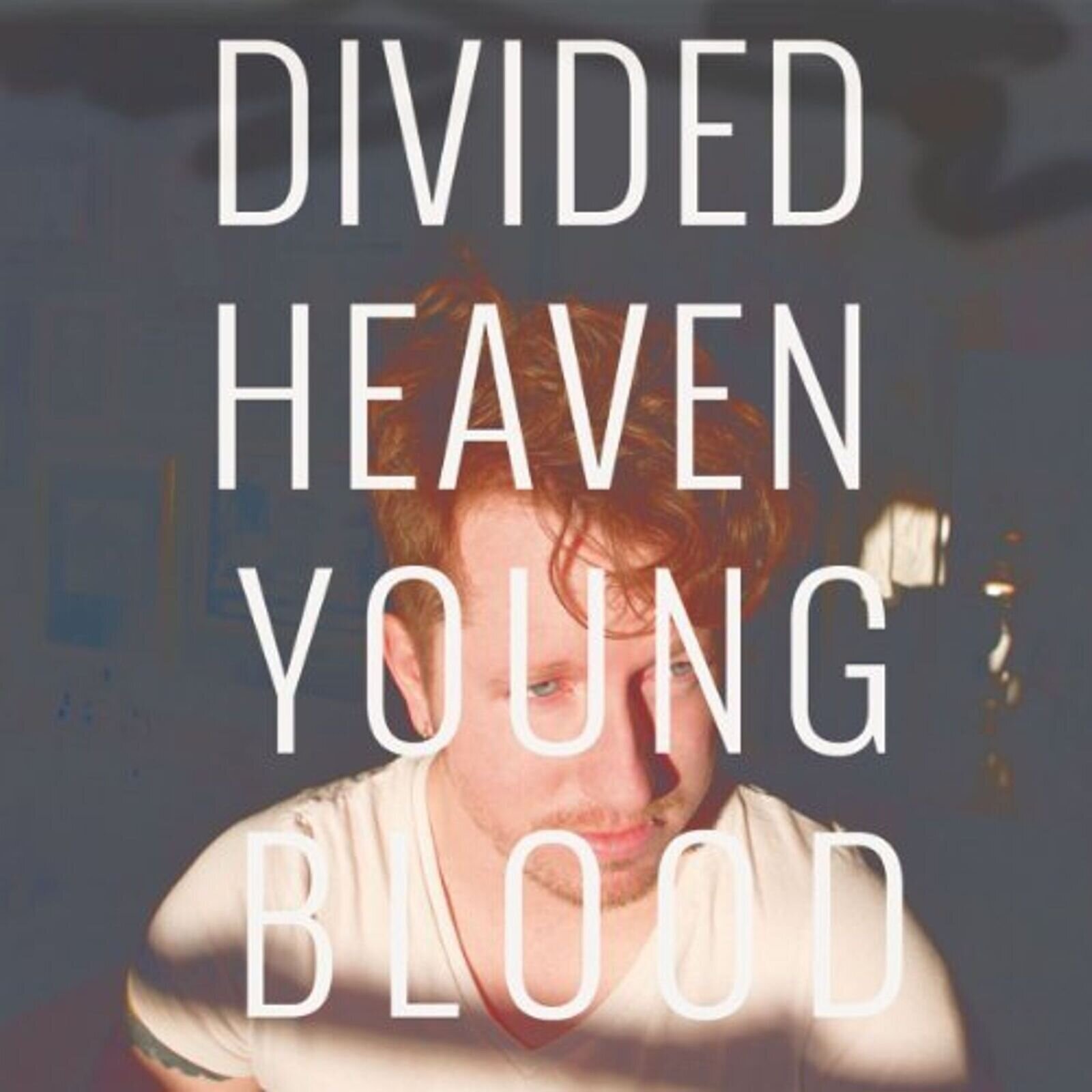 Vinyl Record Divided Heaven - Youngblood (LP)