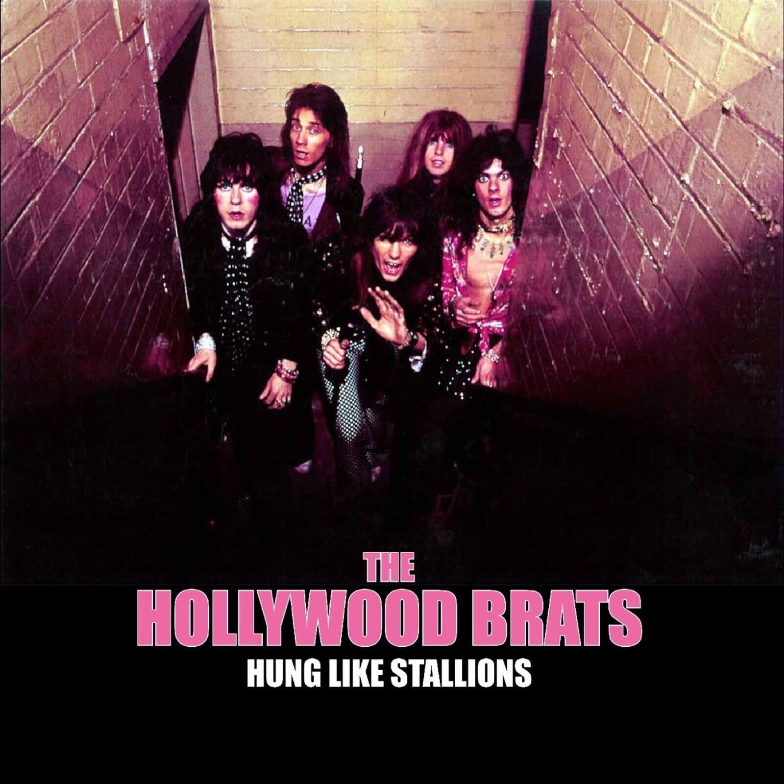 Грамофонна плоча The Hollywood Brats - Hung Like Stallions (LP)