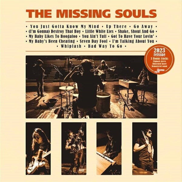 Disc de vinil Missing Souls - The Missing Souls (Deluxe) (LP)