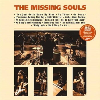 Disc de vinil Missing Souls - The Missing Souls (Deluxe) (LP) - 1