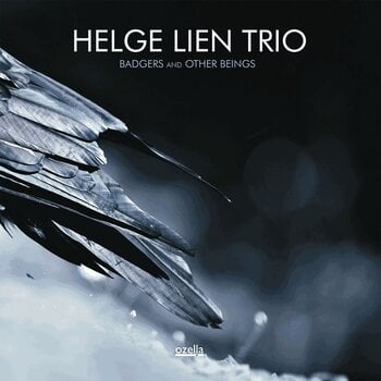 Vinylskiva Helge Lien Trio - Badgers And Other Beings (Limited Edition) (LP) - 1