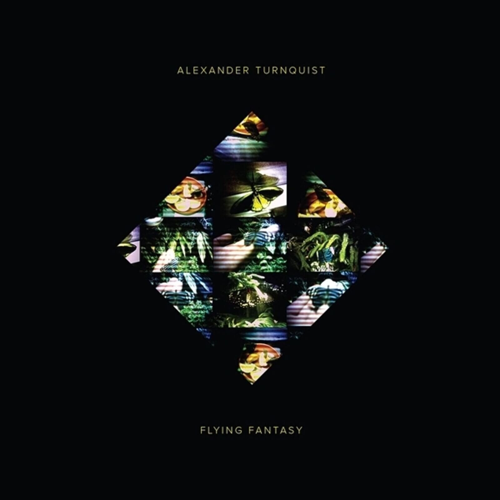 Schallplatte Alexander Turnquist - Flying Fantasy (LP)