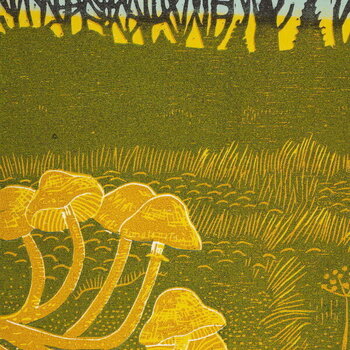 Vinylplate Rural Tapes - Rural Tapes (LP) - 1