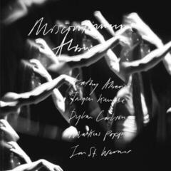Disco de vinil Jan St. Werner - Miscontinuum (Deluxe Edition) (2 LP)