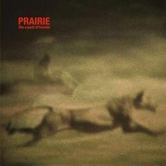 Schallplatte Prairie - Like A Pack Of Hounds (LP)