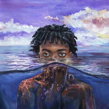 LP deska Redveil - Learn 2 Swim (Reissue) (LP) - 1