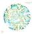 Vinüülplaat Slow Steve - Steps (EP)
