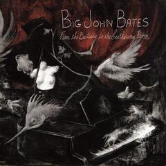 Disque vinyle Big John Bates - From The Bestiary To The Leathering Room (LP)