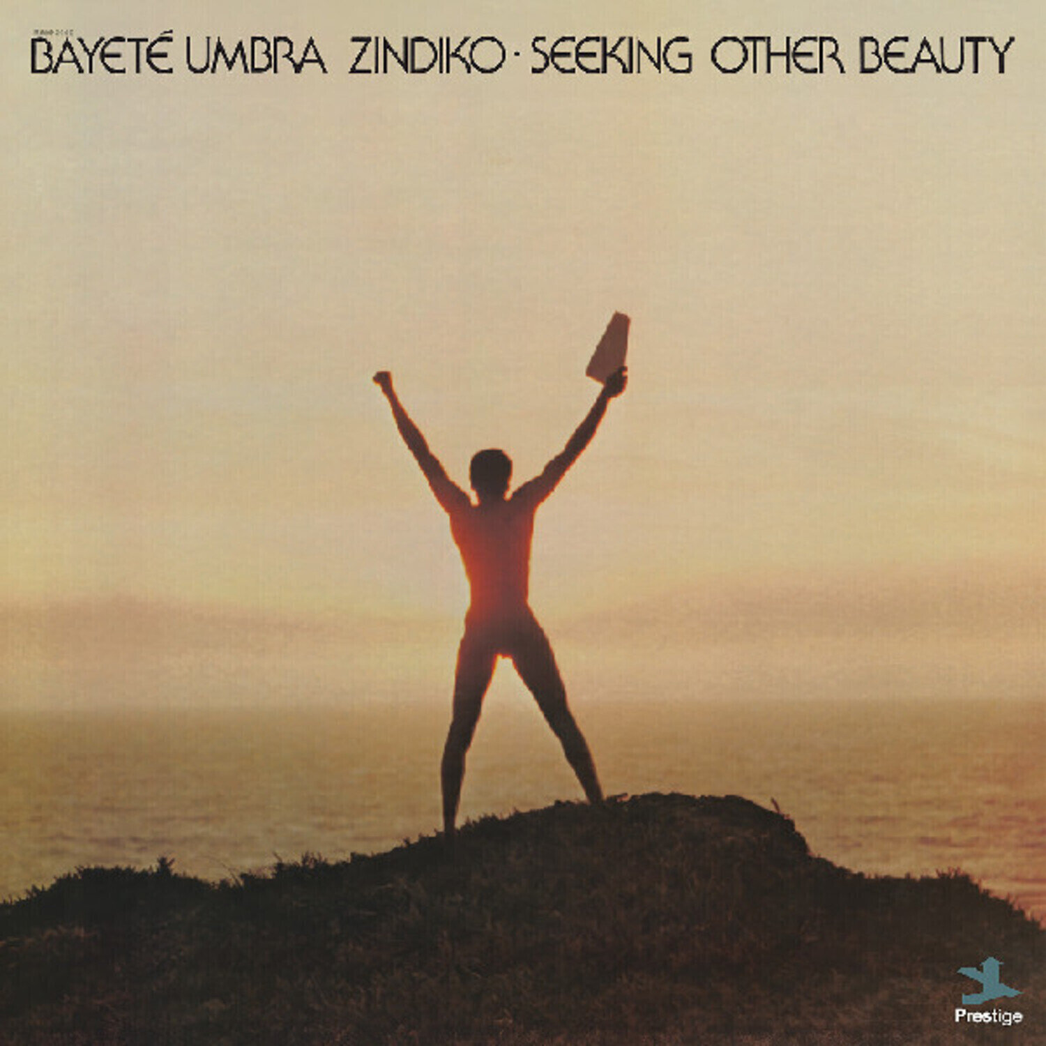 LP plošča Bayeté - Seeking Other Beauty (Reissue) (Plasma Coloured) (LP)