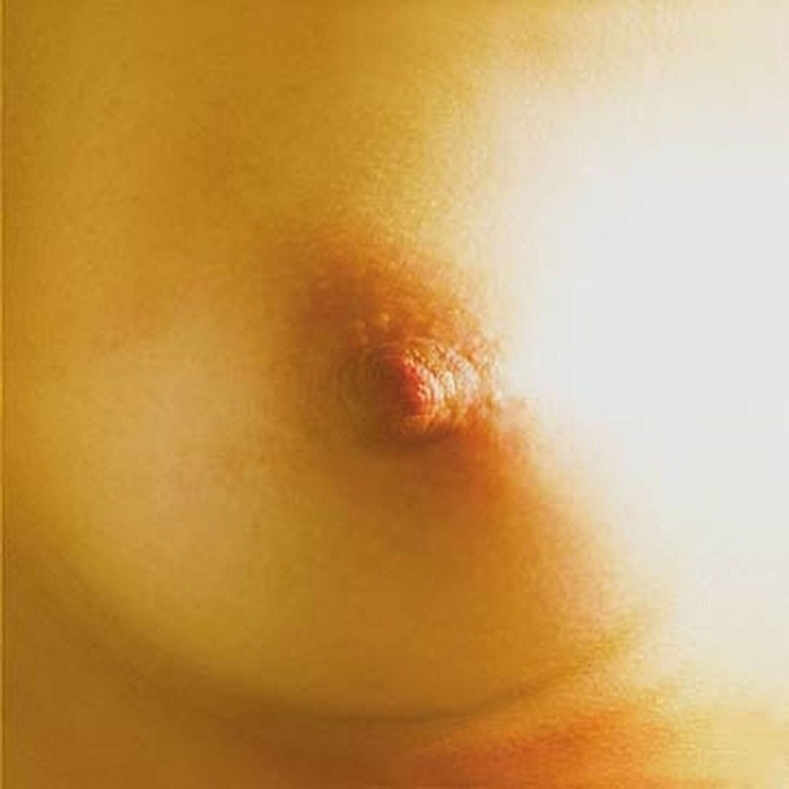 Schallplatte Saturnia - Muzak (LP)