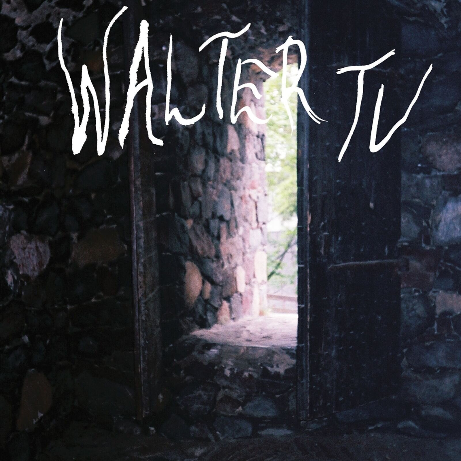 Disc de vinil Walter TV - Blessed (Limited Edition) (LP)