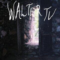 Disc de vinil Walter TV - Blessed (Limited Edition) (LP)