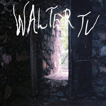 Disc de vinil Walter TV - Blessed (Limited Edition) (LP) - 1