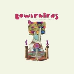 LP plošča Bowerbirds - becalmyounglovers (Limited Edition) (Teal Coloured) (LP)