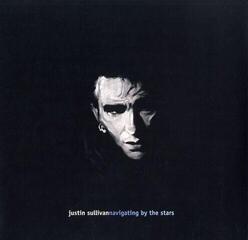 LP ploča Justin Sullivan - Navigating By The Stars (Reissue) (2 LP)