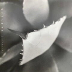 Vinylplate Dirk Serries - Epitaph (Limited Edition) (2 LP)