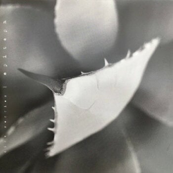 Vinylplate Dirk Serries - Epitaph (Limited Edition) (2 LP) - 1