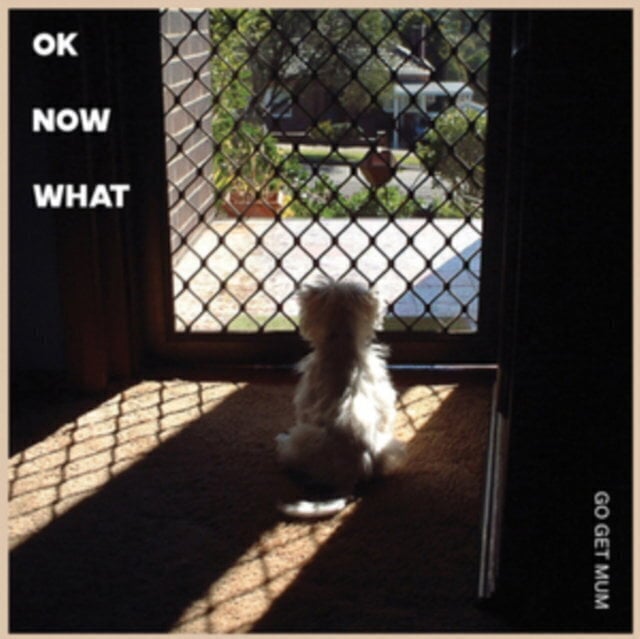 Schallplatte Go Get Mum - OK Now What (LP)