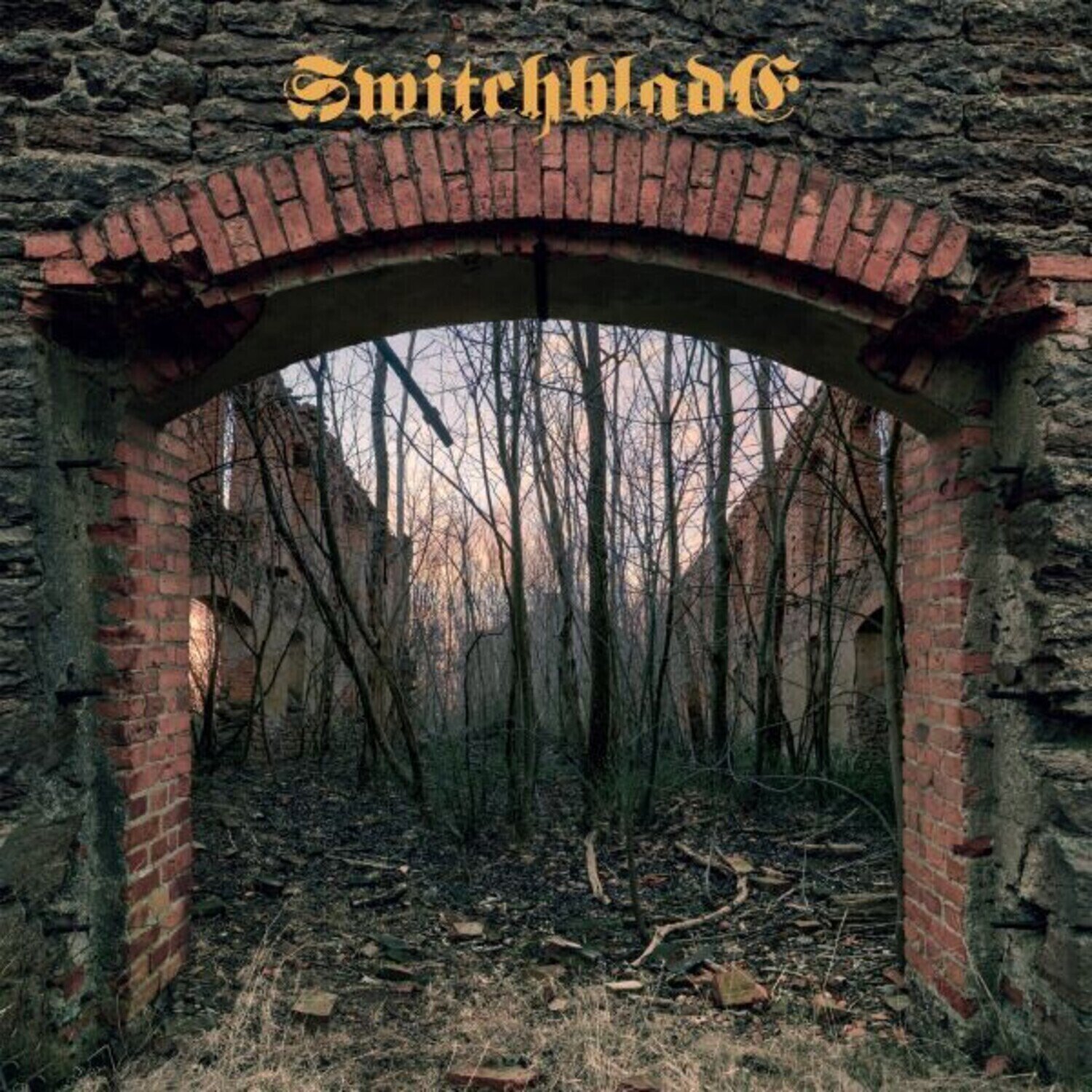 Vinyl Record Switchblade - Switchblade [2016] (Limited Edition) (Coloured) (LP)