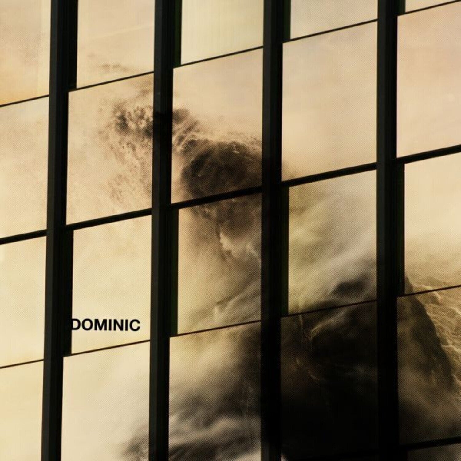 Vinyl Record Dominic - Dominic (LP)