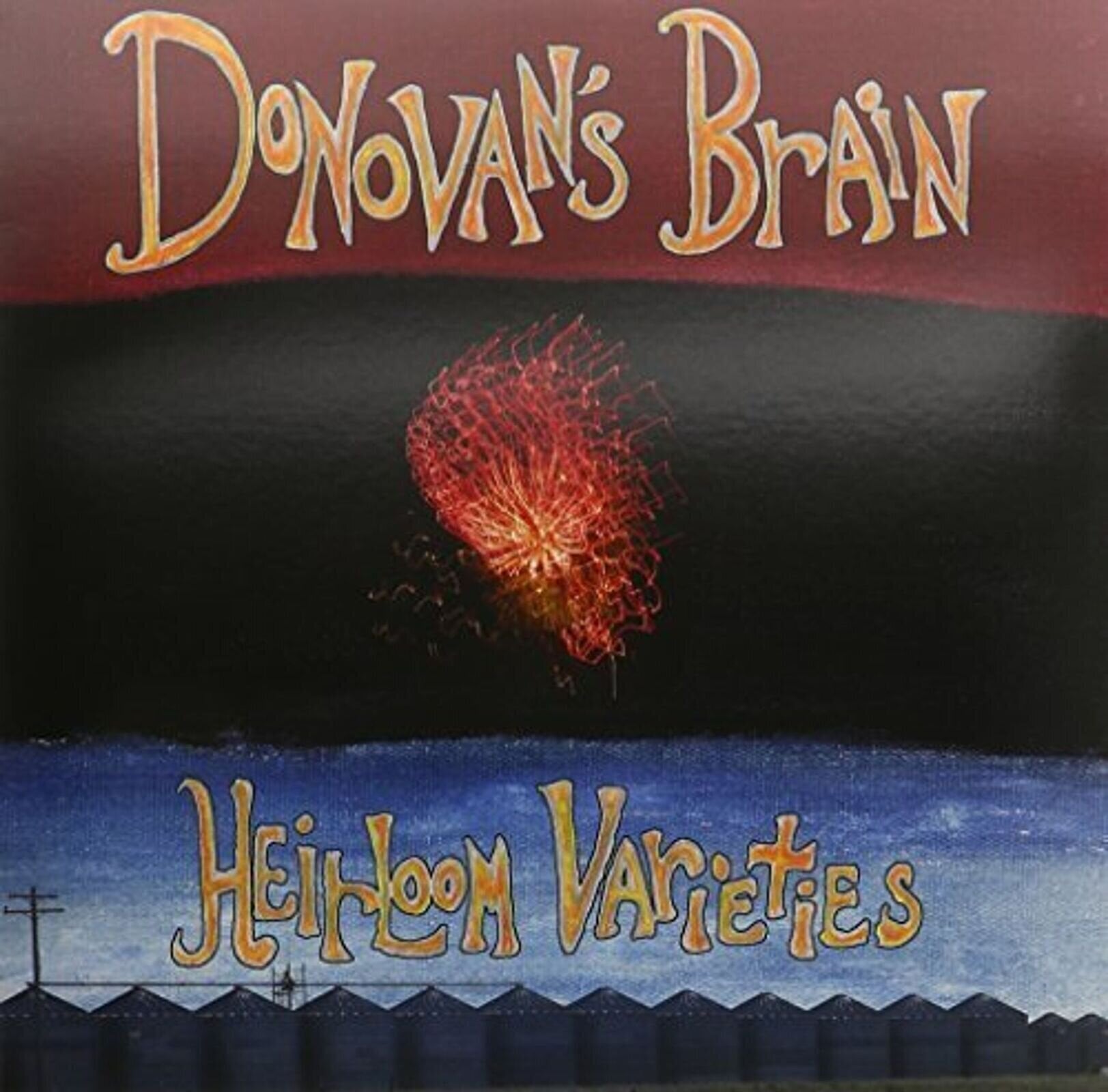 Vinyylilevy Donovan's Brain - Heirloom Varieties (LP)