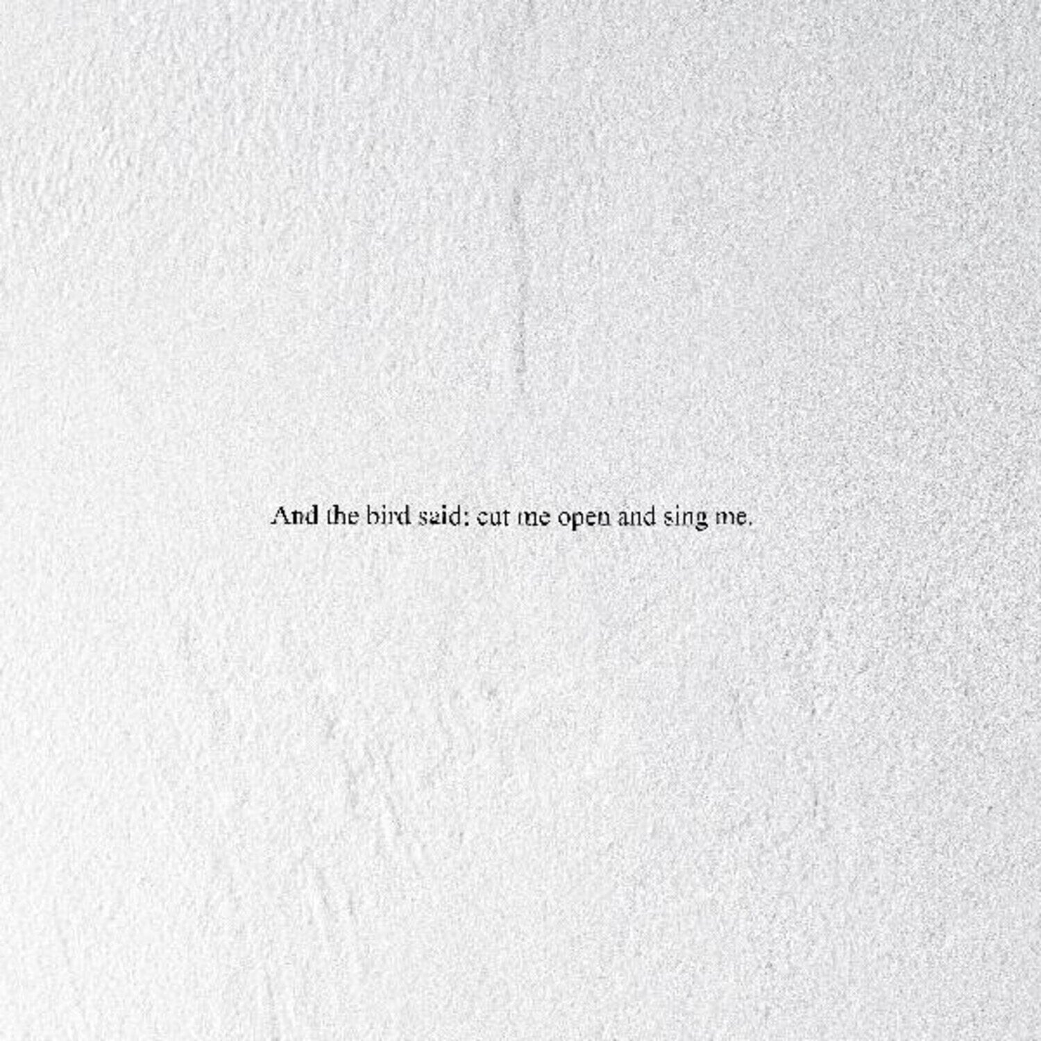 Disque vinyle Prairie - And the Bird Said: Cut Me Open and Sing Me (High Quality) (LP)