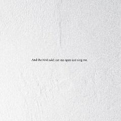 Disque vinyle Prairie - And the Bird Said: Cut Me Open and Sing Me (High Quality) (LP)